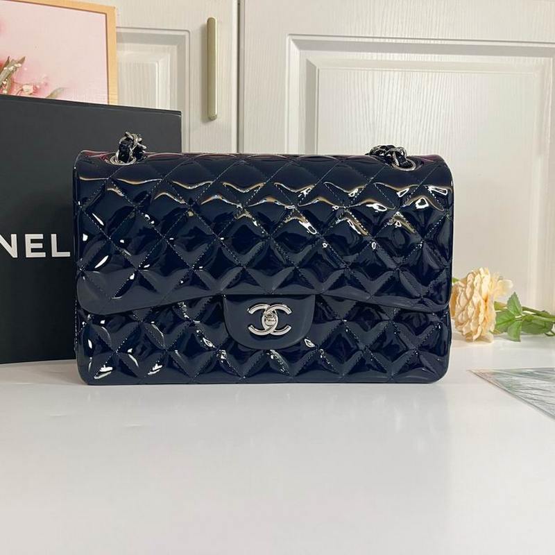 Chanel Handbags 435